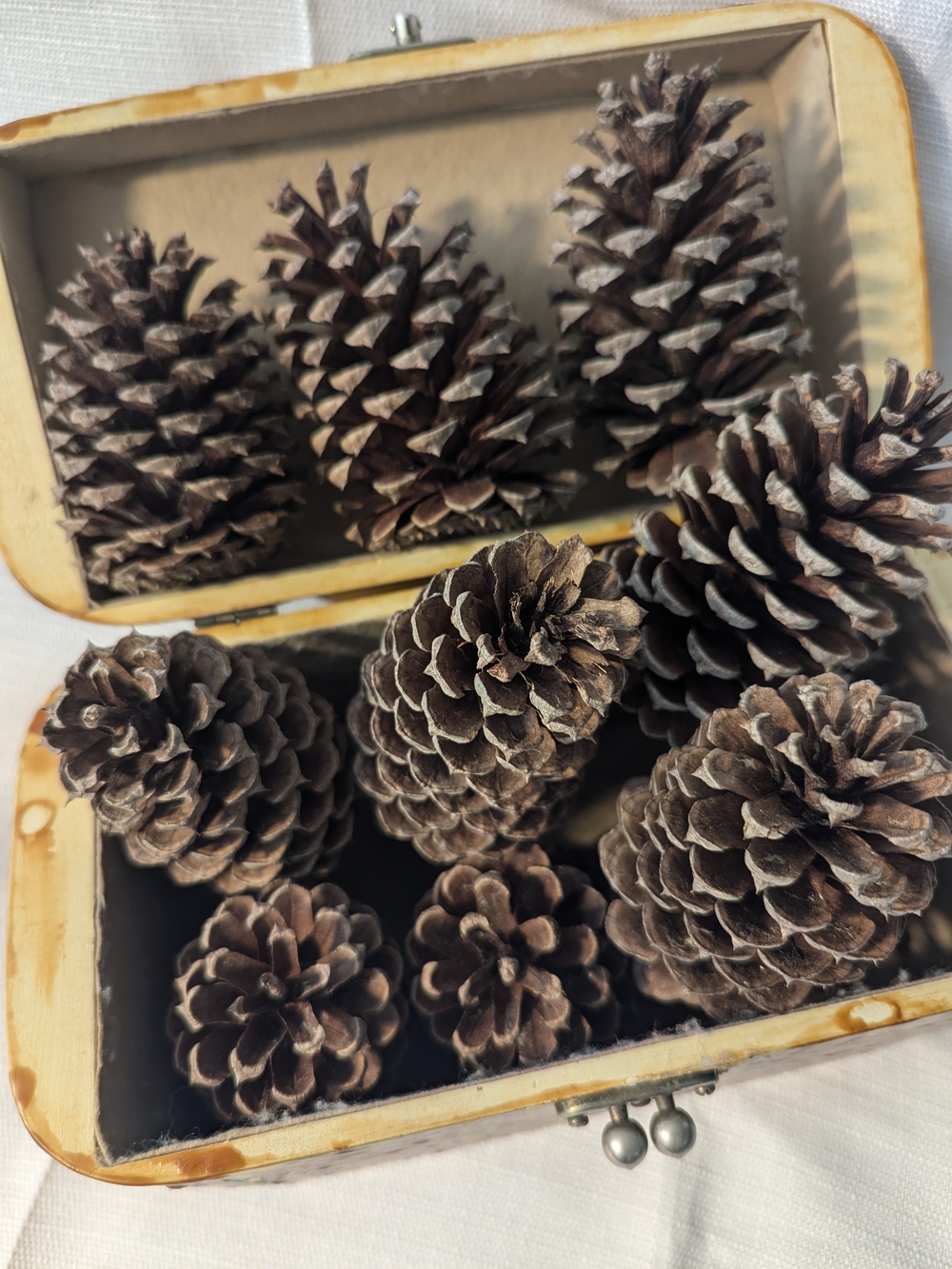 Natural Brown Pine Cone Holiday Decor - Home Holiday